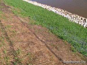 Fort Wayne Edgewater Blvd. levee