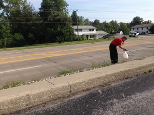 August 2014 - business owner on State Street spraying in front of his building