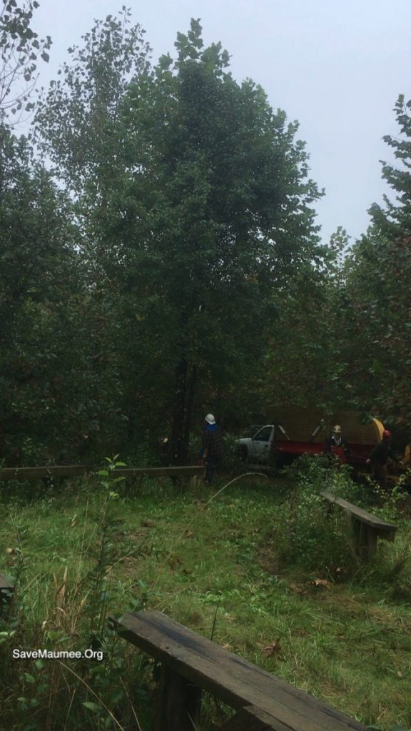 Deetz_Nature_Preserve, New_Haven_Parks, Allen_County_Parks, callery