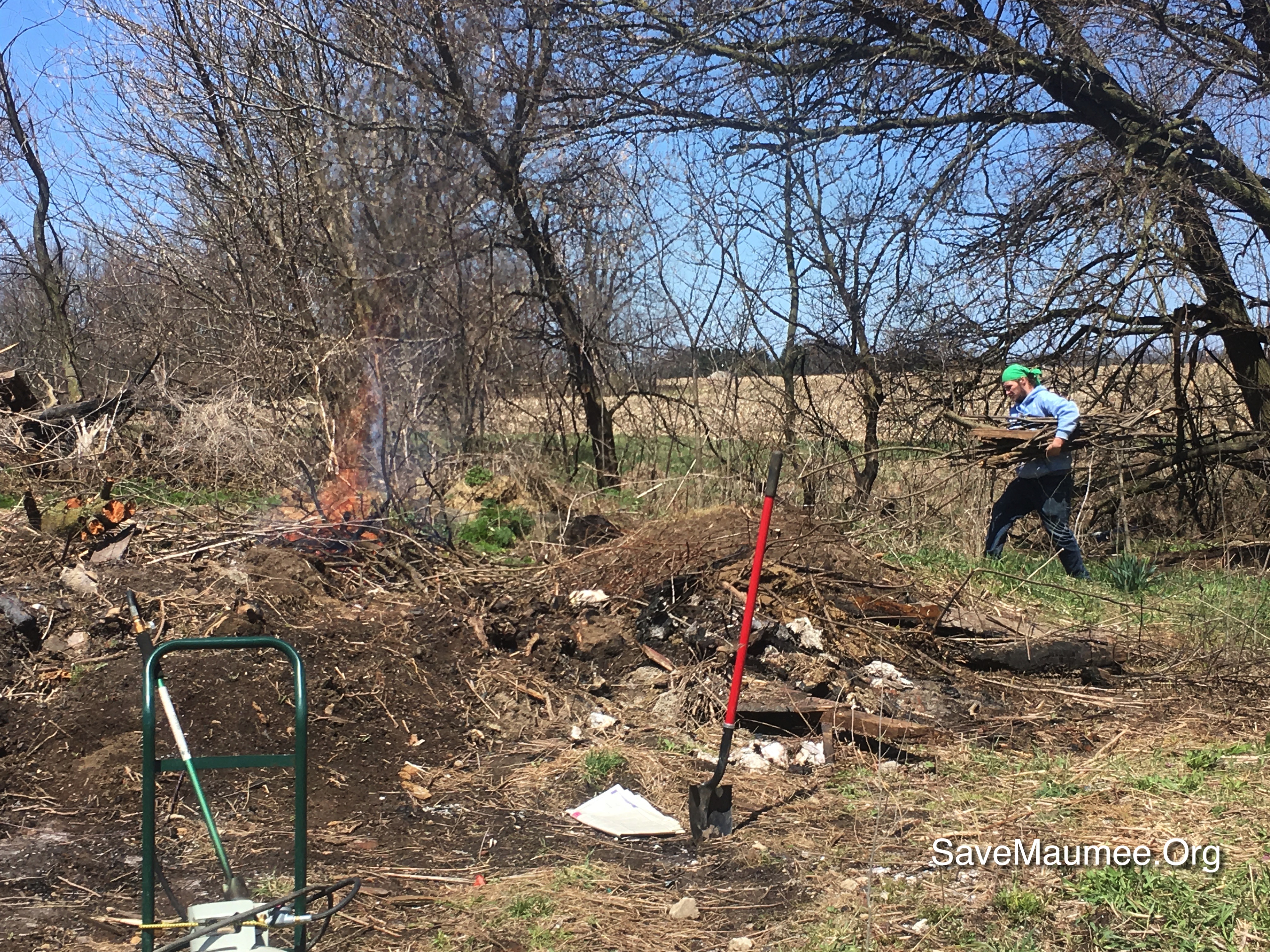 Gar_Creek, riparian_buffer, six_mile_creek, restoration_Maumee, tree